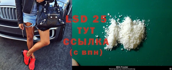 прущие грибы Баксан