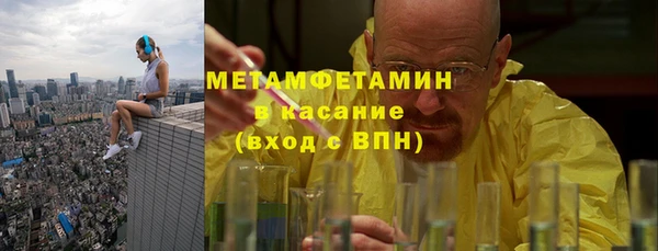 прущие грибы Баксан