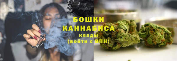 прущие грибы Баксан