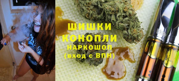 PSILOCYBIN Балабаново