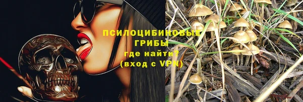 PSILOCYBIN Балабаново