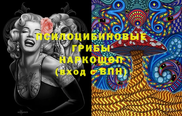 PSILOCYBIN Балабаново