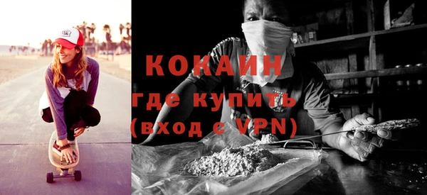 прущие грибы Баксан