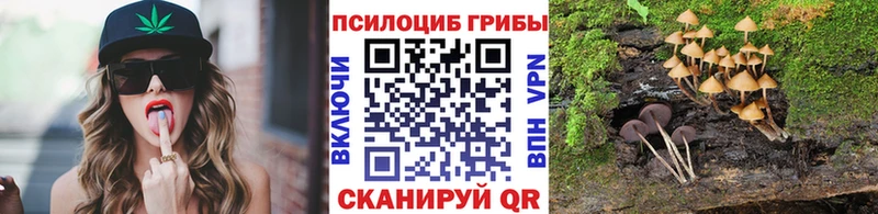 купить наркоту  mega ссылки  Галлюциногенные грибы Psilocybine cubensis  Буйнакск 